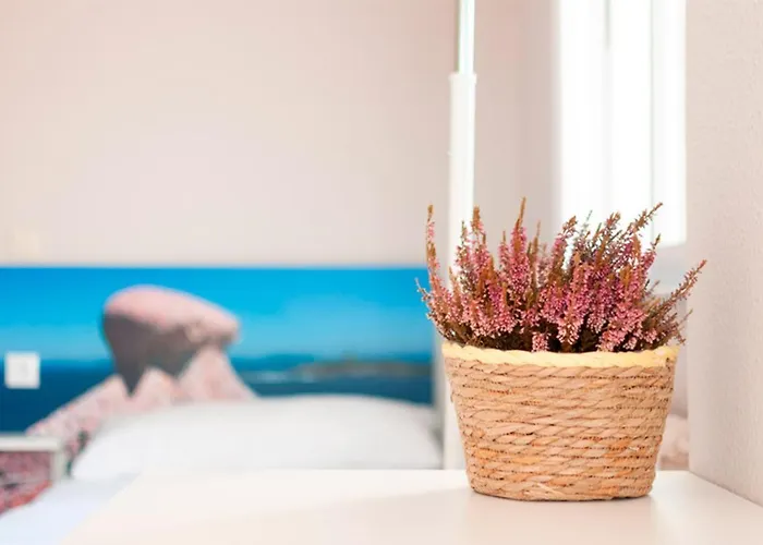 Estudante Guest house *